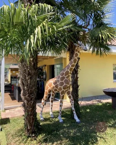 Realistična XL žirafa - realistične živali iz umetne smole