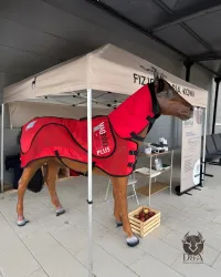 Animali in resina - Cavallo XL