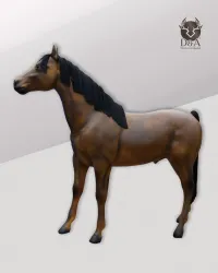 Animali in resina - Cavallo XL