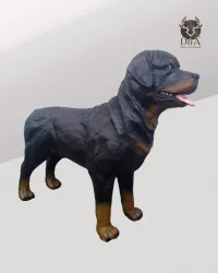 Rottweiler debout