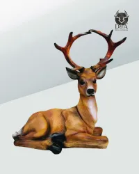 Cerf couché