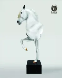 Animales de resina - Busto de caballo blanco