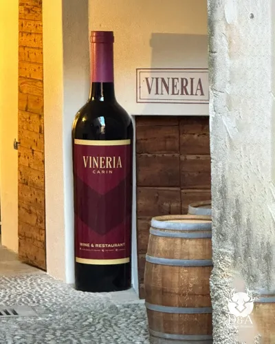 Große Flasche Rot-, Rosé- oder Weißwein im Bordeaux-Stil – jede Weinregion