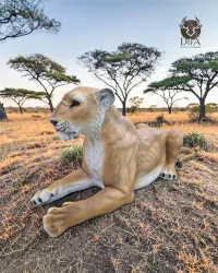 Lionne couchée réaliste