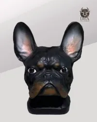 Tête de bouledogue français