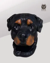 Testa decorativa di Rottweiler