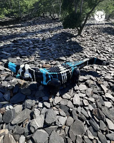 Statue en résine d'un Crocodile TRASH L Bicolore