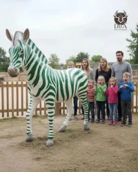 Zebra de resina de fibra para personalizar