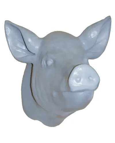 Trophée d'une Tête de cochon - Déco et Artisanat - 3