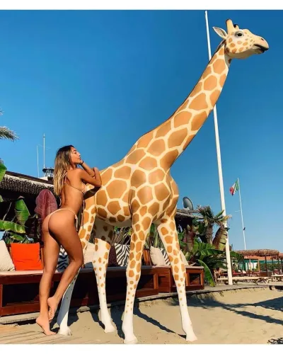 Girafe XXL réaliste - Déco et Artisanat - 2