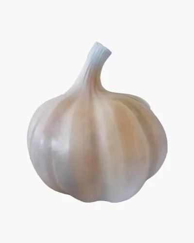 Ail XXL - Déco et Artisanat - 1