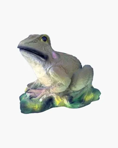 Grenouille M - Déco et Artisanat - 1