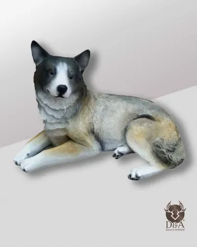 Bouvier Australien couché