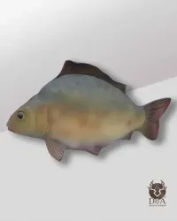 Carpa realistica Déco et Artisanat - 1