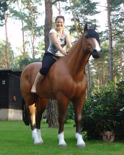 Harsdieren - Paard Paard op ware grootte